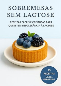 SOBREMESAS SEM Lactose . Skyler ml